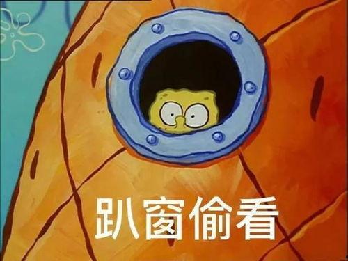 派大星娱乐爆料视频,最新爆料视频幕后故事  第2张